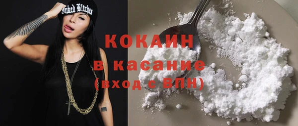 гидра Вяземский