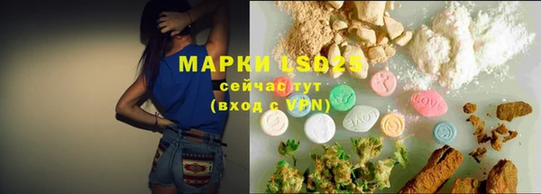 гидра Вяземский