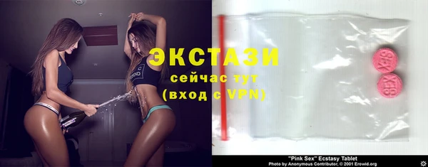гидра Вяземский