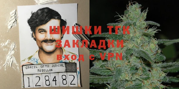 гидра Вяземский