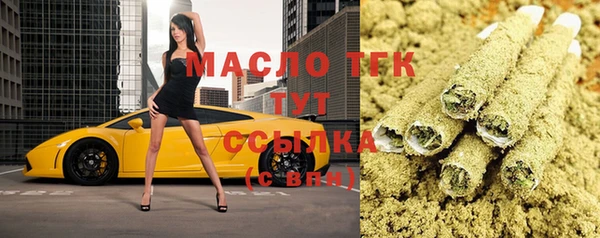 гидра Вяземский