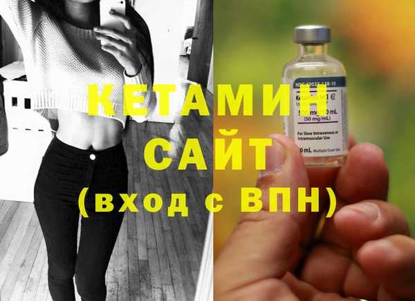 гидра Вяземский