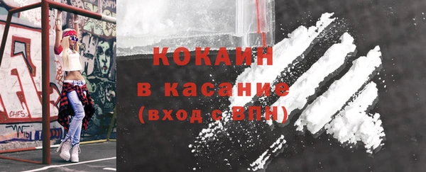 гидра Вяземский