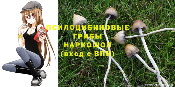 гидра Вяземский