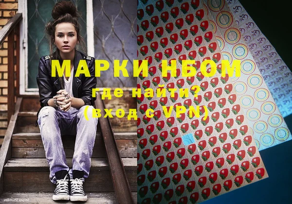 гидра Вяземский