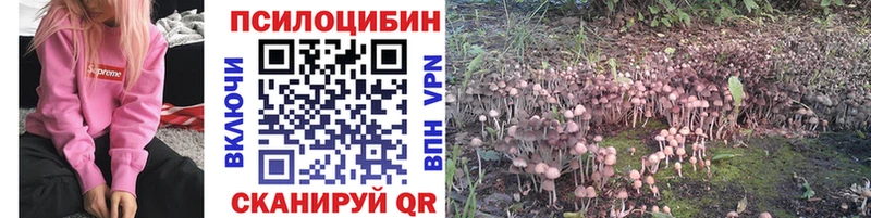 Галлюциногенные грибы ЛСД  Купить где  Вилюйск 